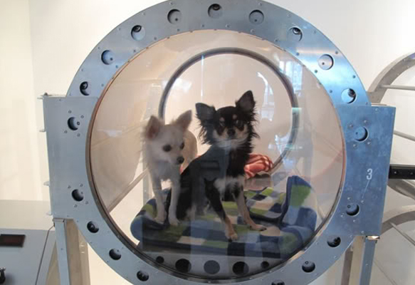 camaras hiperbaricas